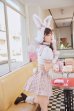 画像10: 【即日発送】ドーリーバニーアイドルセーラー【マリームーン】【ハロウィンコスプレ7点セット】【フリーサイズ/2カラー】[YMT]