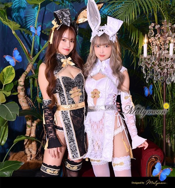 画像3: 【即日発送】チャイナバニーガール《高級コスランジェリー9点セット》【Dreamy Doll Premium/ドリーミードールプレミアム】【フリーサイズ/2カラー】[HC03]