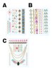 画像2: 【タトゥーシール】フェスやイベントに必須の新感覚アクセ★[OF03C] (2)