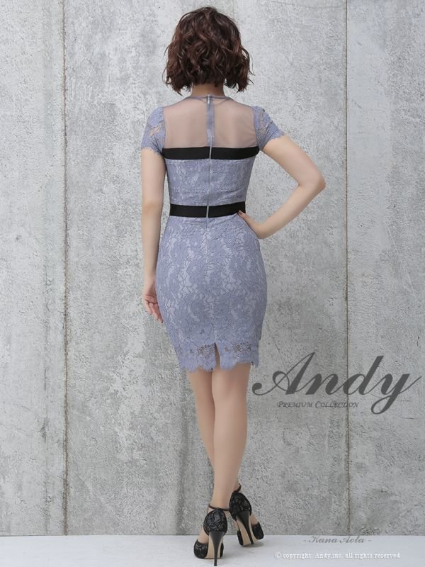 画像18: SALE!【高級ドレスセール】【ANDY/アンディ】シースルー/ フラワーレース/ タイト/ミニドレス /キャバドレス