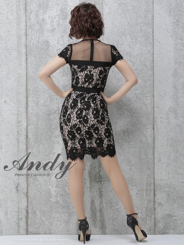 画像4: SALE!【高級ドレスセール】【ANDY/アンディ】シースルー/ フラワーレース/ タイト/ミニドレス /キャバドレス