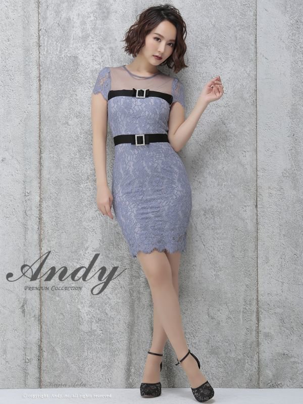 画像16: SALE!【高級ドレスセール】【ANDY/アンディ】シースルー/ フラワーレース/ タイト/ミニドレス /キャバドレス