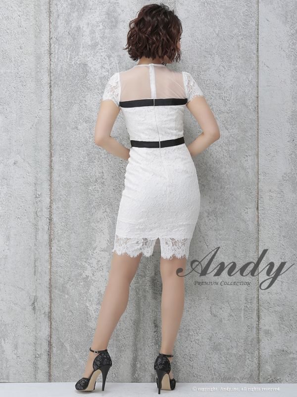 画像12: SALE!【高級ドレスセール】【ANDY/アンディ】シースルー/ フラワーレース/ タイト/ミニドレス /キャバドレス