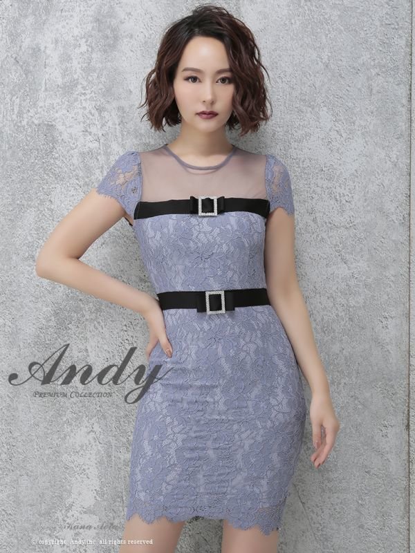 画像15: SALE!【高級ドレスセール】【ANDY/アンディ】シースルー/ フラワーレース/ タイト/ミニドレス /キャバドレス