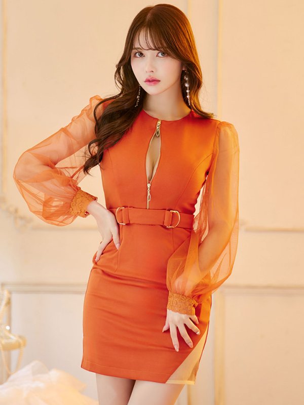 画像10: ジップアップドレス/チュール袖/刺繍/布ベルト/シアー/スリット/透け/谷間見せ/背中隠し/ミニドレス/キャバドレス【XS-XLサイズ/3カラー】[HC02-X] 【SB】dzw