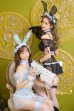 画像3: 【即日発送】セクシーバニーコスプレ《ハロウィンコスプレ10点セット》【Dreamy Doll/ドリーミードール】[HC02]