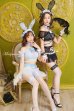 画像1: 【即日発送】セクシーバニーコスプレ《ハロウィンコスプレ10点セット》【Dreamy Doll/ドリーミードール】[HC02] (1)