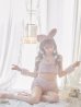 画像10: もこもこバニーコスプレ/アニマルコスプレセット【sugar nineハロウィンコスプレ6点セット】【FREEサイズ/4カラー】[YMT]