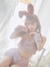 画像4: もこもこバニーコスプレ/アニマルコスプレセット【sugar nineハロウィンコスプレ6点セット】【FREEサイズ/4カラー】[YMT]