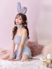 画像1: もこもこバニーコスプレ/アニマルコスプレセット【sugar nineハロウィンコスプレ6点セット】【FREEサイズ/4カラー】[YMT] (1)