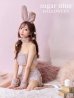 画像1: もこもこバニーコスプレ/アニマルコスプレセット【sugar nineハロウィンコスプレ6点セット】【FREEサイズ/4カラー】[YMT] (1)