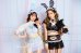 画像7: 【即日発送】セクシーバニーコスプレ《ハロウィンコスプレ10点セット》【Dreamy Doll/ドリーミードール】[HC02]