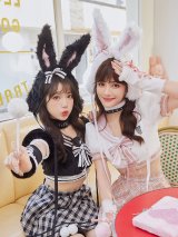 【即日発送】ドーリーバニーアイドルセーラー【マリームーン】【ハロウィンコスプレ7点セット】【フリーサイズ/2カラー】[OF04]