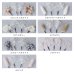 画像20: ドライフラワー【全7種類】【ヘアアクセサリー】[YMT] (20)