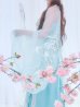 画像14: 【送料無料！】【ハロウィン】アイスブルー刺繍ロングシフォン漢服セット【コスプレ3点SET】【Fサイズ】【一部予約/8月下旬発送予定】[OF04] (14)