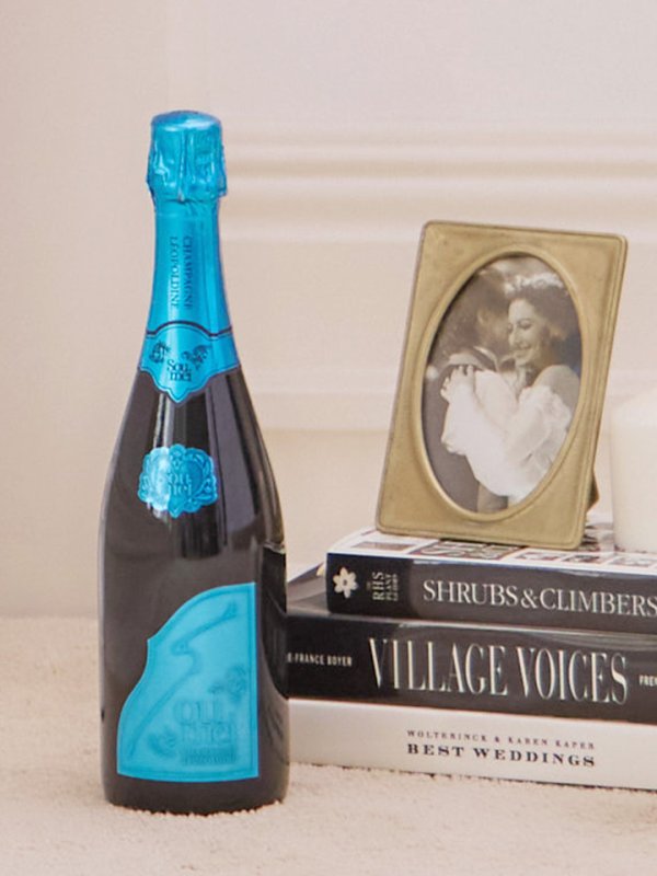 画像4: 【即日発送！】【ハロウィン】アイドルスクールガールセットアップ 【コスプレ5点セット】[HC03]