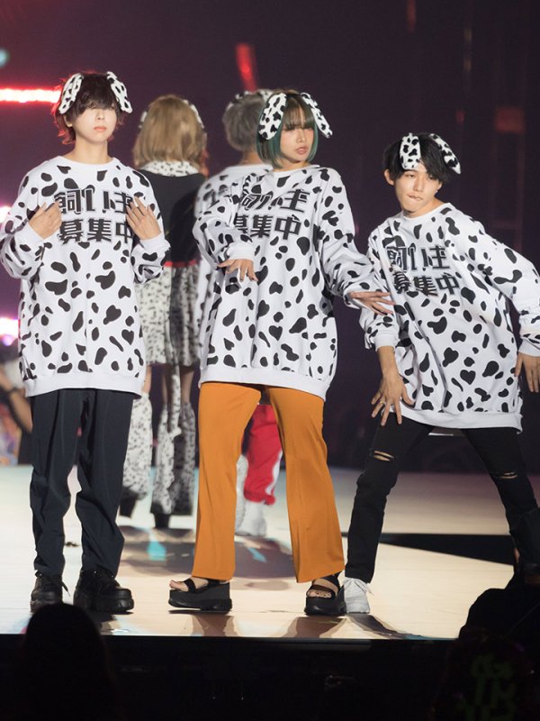 画像13: 【即日発送】【少量再入荷!即日発送!】ダルメシアントレーナー/アニマルコスプレ【sugar nineハロウィンコスプレ2点セット】【Fサイズ/1カラー】【HC02】