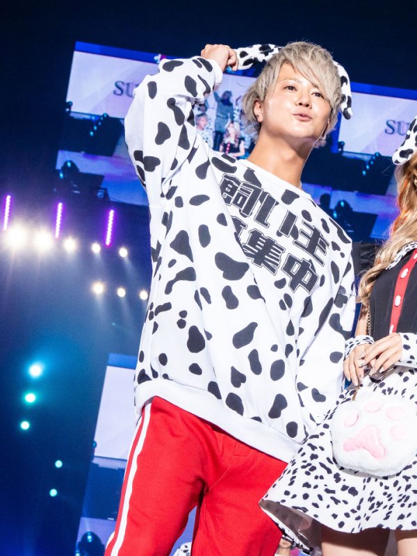 画像16: 【即日発送】【少量再入荷！即日発送！】ダルメシアントレーナー/アニマルコスプレ【sugar nineハロウィンコスプレ2点セット】【Fサイズ/1カラー】【HC03】