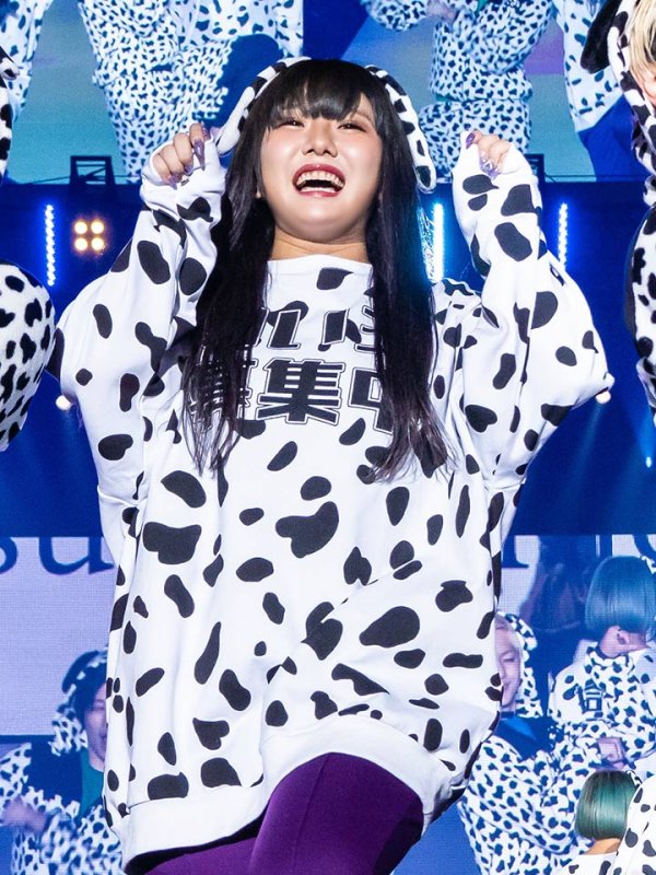 画像15: 【即日発送】【少量再入荷！即日発送！】ダルメシアントレーナー/アニマルコスプレ【sugar nineハロウィンコスプレ2点セット】【Fサイズ/1カラー】【HC03】