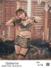画像1: 【即日発送！】【sugar nine×マリームーンコラボ】 セクシーレオパードコスプレセット【ハロウィン7点セット】【XS-Lサイズ/1カラー】[HC02] (1)