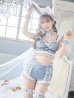 画像9: 【即日発送】【sugar nine×マリームーンコラボ】 セクシーレースバニーコスプレセット【sugar nineハロウィンコスプレ7点セット】【S-Mサイズ/3カラー】[HC02]