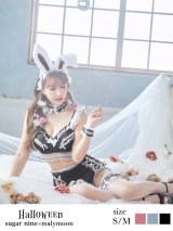 【即日発送】【sugar nine×マリームーンコラボ】 セクシーレースバニーコスプレセット【sugar nineハロウィンコスプレ7点セット】【S-Mサイズ/3カラー】[HC02]