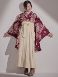 【即日発送】菊×椿 ワインレッド二尺袖着物【卒業袴３点セット 二尺袖着物/帯/袴】[FB01]