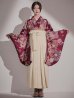 画像4: 【予約商品 / 1月中旬発送予定】菊×椿 ワインレッド二尺袖着物【卒業袴３点セット 二尺袖着物/帯/袴】 (4)