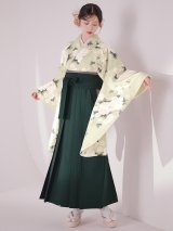 【予約商品/1月中旬発送】牡丹×菊 くすみグリーン二尺袖着物【卒業袴３点セット 二尺袖着物/帯/袴】