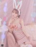 画像27: 【即日発送】【ハロウィン】【LARME/ラルム掲載】 ツイードバニーミニワンピ 【コスプレ6点セット】【S-Lサイズ/2カラー】[YMT]