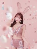 【即日発送】【ハロウィン】 フリルレースバニーセットアップ 【コスプレ6点セット】 【S-Mサイズ/3カラー】[YMT]