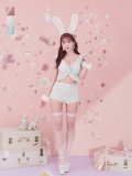 【即日発送】【ハロウィン】 フリルレースバニーセットアップ 【コスプレ6点セット】 【S-Mサイズ/3カラー】[YMT]