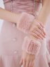 画像20: 【即日発送！】【ハロウィン】 レースアップ バニーセットアップ 【コスプレ7点セット】 【XS-Mサイズ/1カラー】[YMT]