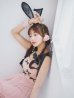 画像14: 【即日発送！】【ハロウィン】バニーリボンチュールワンピース 【コスプレ4点セット】 【S-Lサイズ/1カラー】[YMT]