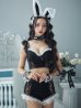 画像10: 【即日発送！】【ハロウィン】 総レースバニーフリルセットアップ【コスプレ7点セット】【XS-Lサイズ/3カラー】[YMT]