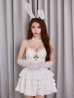 画像13: 【予約 / 9月下旬発送予定】【送料無料！】【ハロウィン】バニーレースビスチェセットアップ【コスプレ6点セット】【XS-Mサイズ/2カラー】[OF03]