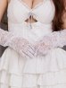 画像23: 【予約 / 9月下旬発送予定】【送料無料！】【ハロウィン】バニーレースビスチェセットアップ【コスプレ6点セット】【XS-Mサイズ/2カラー】[OF03]
