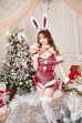画像5: 【即日発送！】【クリスマスコスプレ9点セット】【Malymoon/マリームーン】チェッククロスバニーサンタ【フリーサイズ/1カラー】[OF03] (5)