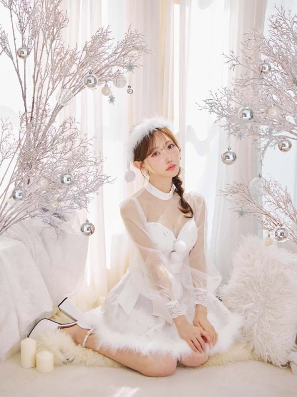 画像8: 【即日発送！】【サンタコス 4点セット】【XS-XLサイズ/2カラー】チュールロングスリーブハイネックサンタ[OF04]