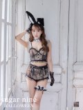 【ハロウィン】セパレートレースバニーコスプレ【コスプレ7点セット】【XS-Mサイズ/1カラー】【予約商品/5月中旬発送予定】[YMT]