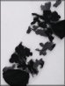 画像7: 【即日発送】【ソックス】花柄シアーソックス【1サイズ/3カラー】[OF08] (7)