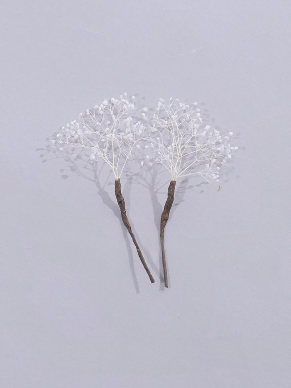 画像7: 【浴衣小物】ドライフラワーコサージュセット【2カラー】	