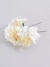 画像2: 【浴衣小物】ドライフラワーと小花のコサージュ【1カラー】 (2)