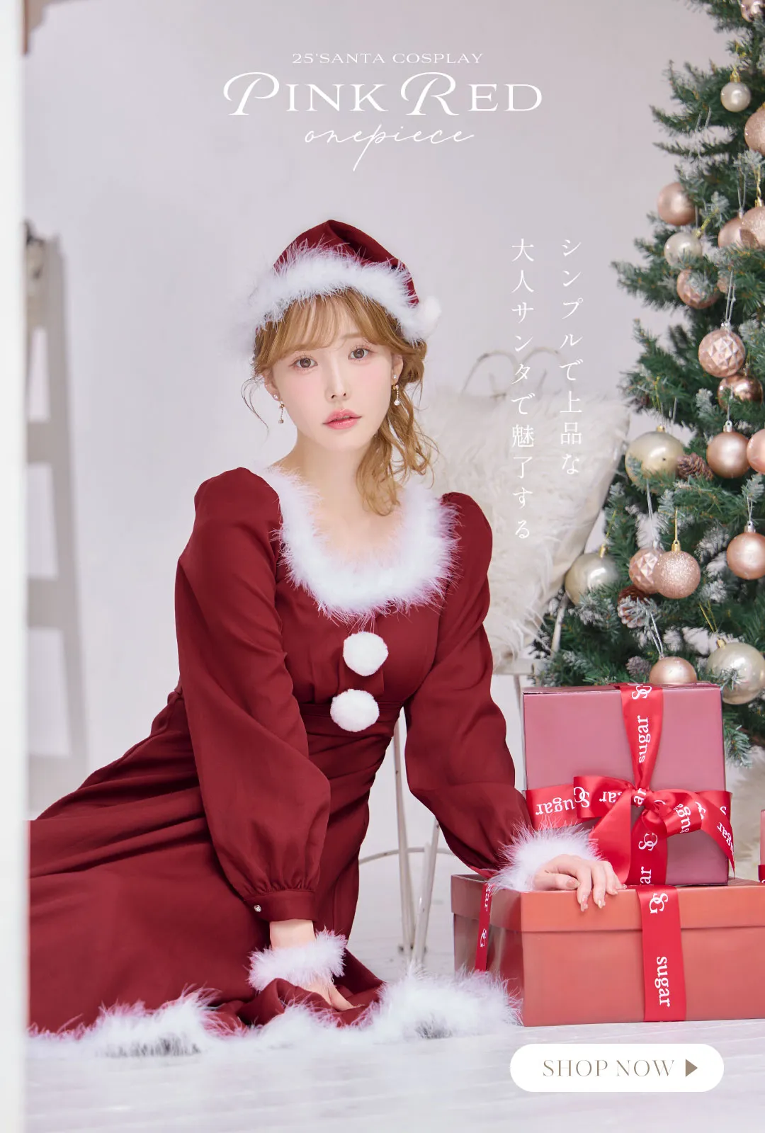 ワンピースサンタ4