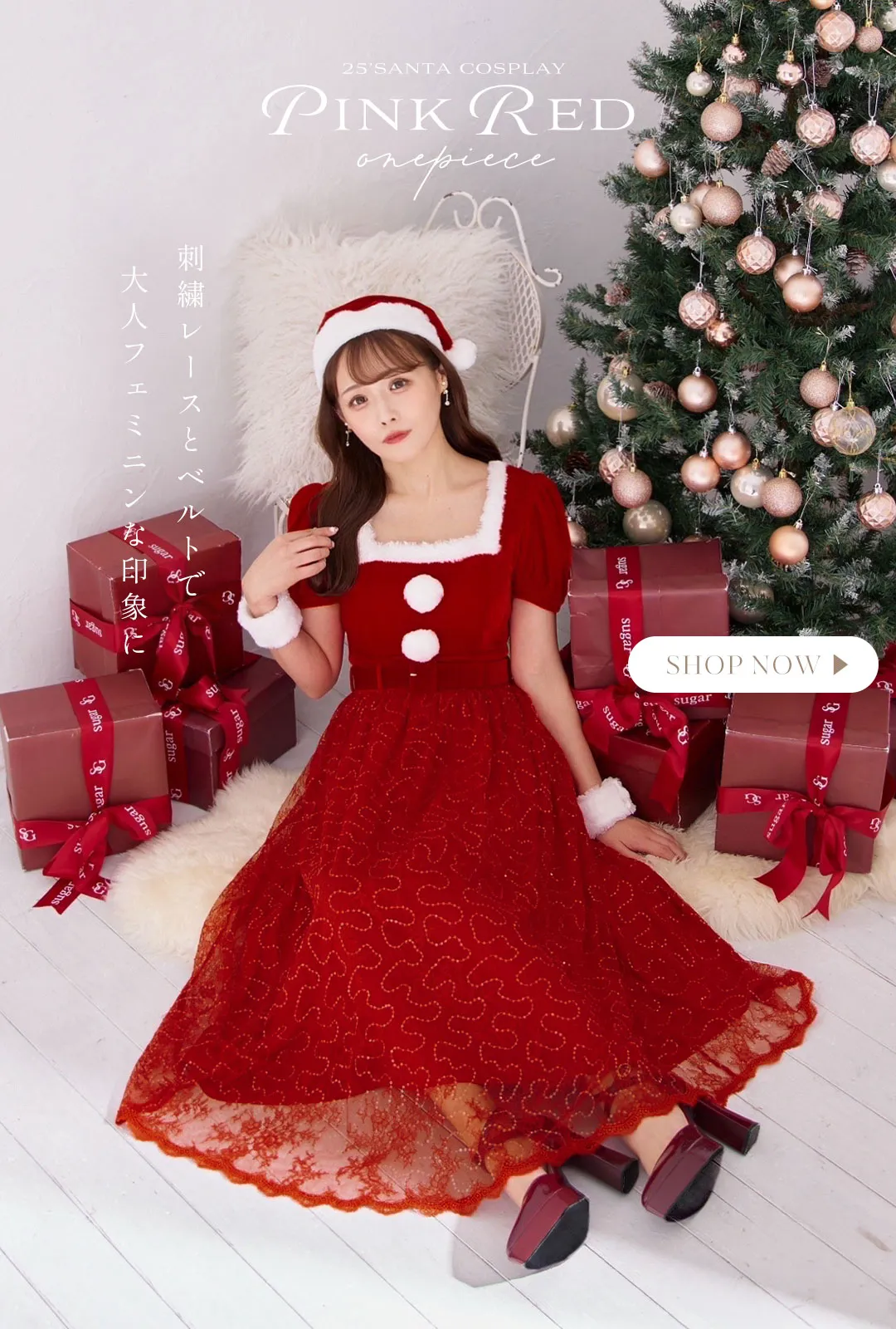 ワンピースサンタ4