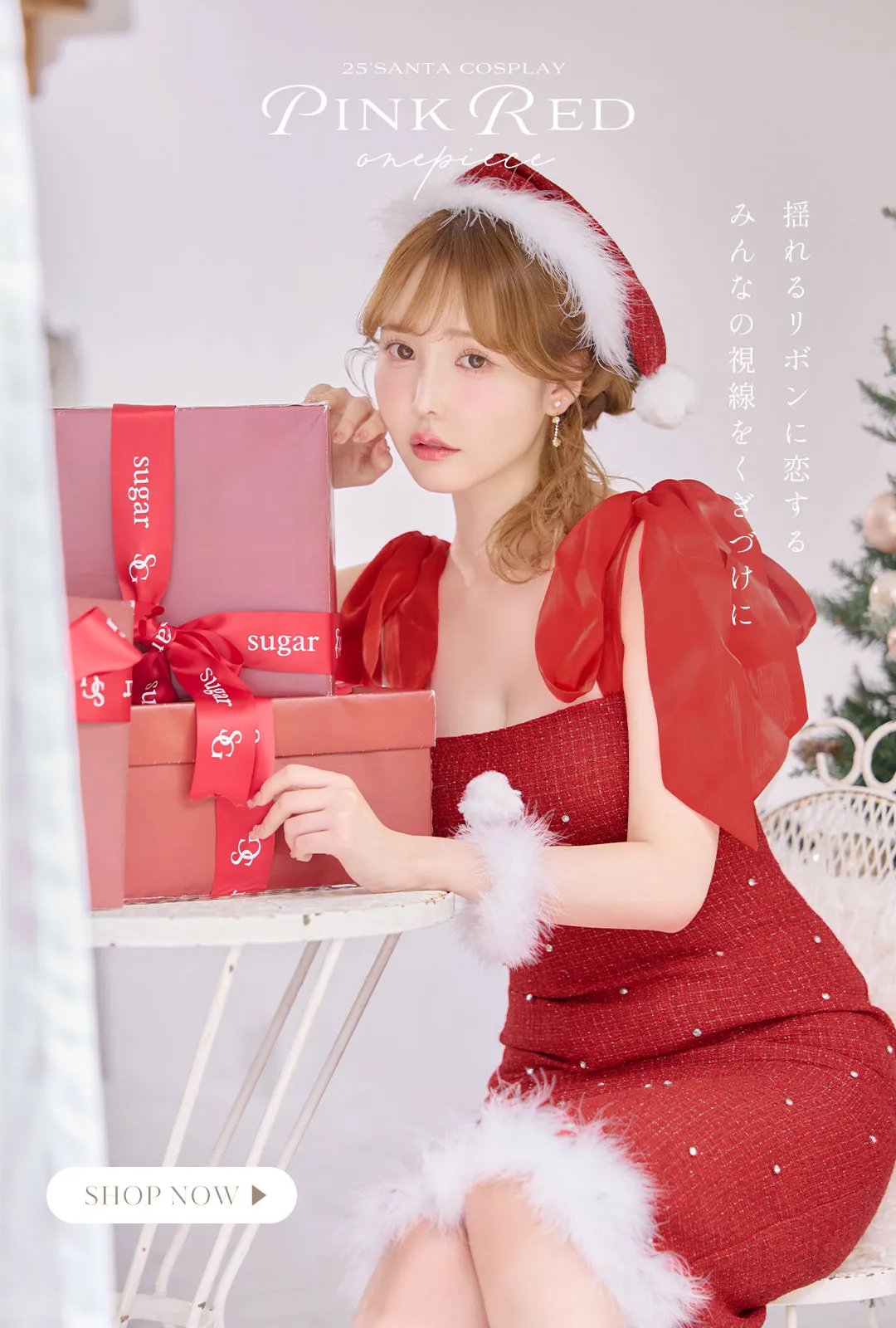 ワンピースサンタ4