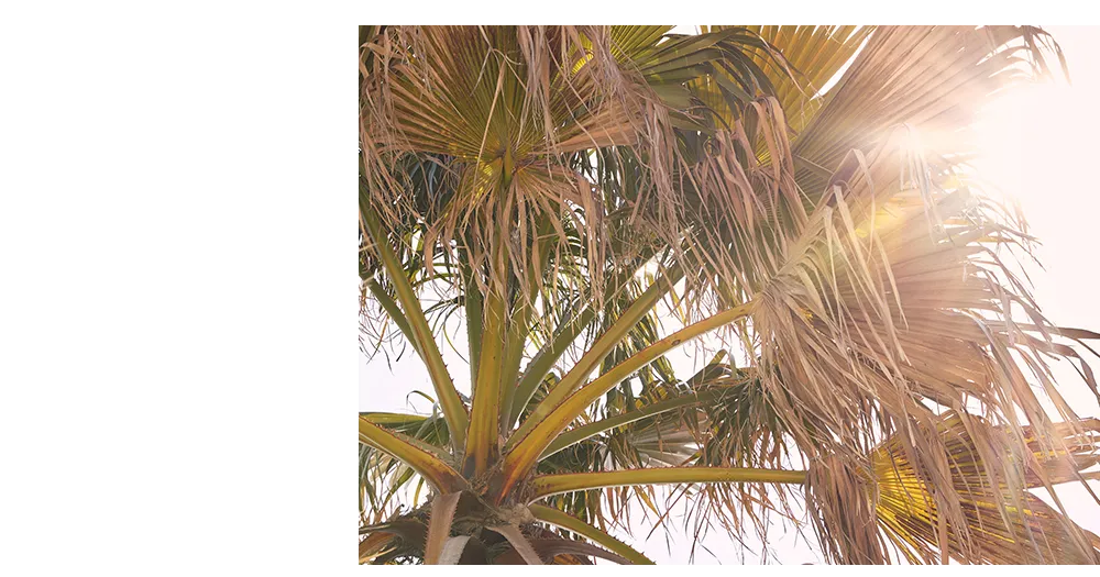 商品4 着用イメージ