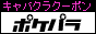 ポケパラ