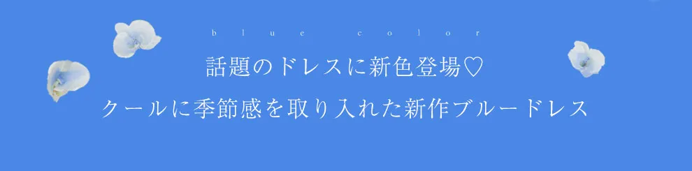 新色ブルードレス2
