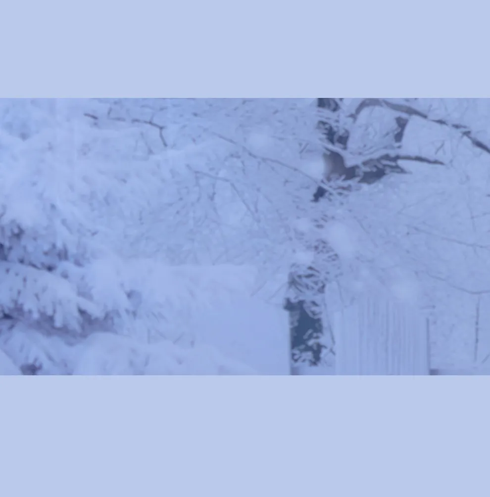 バックリボンビジューミニドレス6